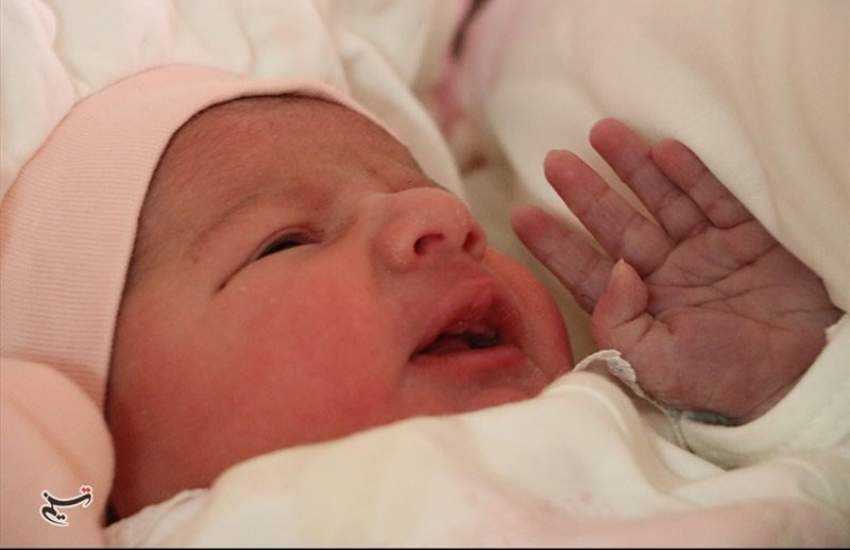 مناطق کمبرخوردار نرخ باروری بالاتری دارند مناطق کمبرخوردار نرخ باروری بالاتری دارند